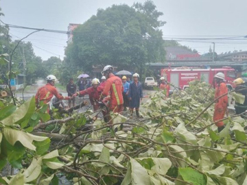 ရန်ကုန်တိုင်းဒေသကြီး၊ သန်လျင်မြို့နယ်၊ မြို့မမြောက်ရပ်ကွက်၊ သီရိလမ်းမပေါ်တွင် သစ်ပင်လဲကျမှု