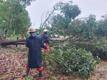 ပဲခူးတိုင်းဒေသကြီး၊ ရန်ကုန်-မန္တလေးအမြန်လမ်းမကြီး၊ မိုင်တိုင်အမှတ် ၇၁/၁ နှင့် မိုင်တိုင်အမှတ် ၇၁/၅ တို့ရှိ လမ်းလယ်ကျွန်းတွင် သစ်ပင်လဲကျမှု