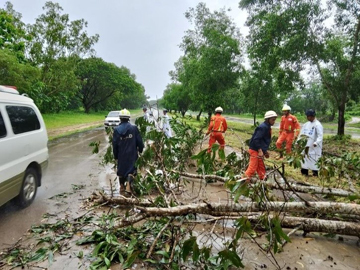 ပဲခူးတိုင်းဒေသကြီး၊ ပဲခူးမြို့နယ်၊ ရန်ကုန်-မန္တလေးအမြန်လမ်းမကြီး၊ မိုင်တိုင်အမှတ်(၃၆/၃)တွင် သစ်ပင်လဲကျမှု