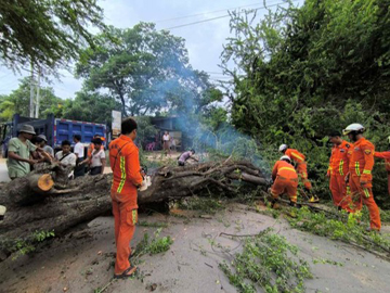 မန္တလေးတိုင်းဒေသကြီး၊ မြင်းခြံခရိုင်၊ မြင်းခြံမြို့နယ်၊ အမှတ်(၉)ရပ်ကွက်၊ ဘူတာတိုက်တန်း အနောက်ဘက်လမ်းတွင် သစ်ပင်လဲကျမှု