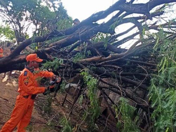 မန္တလေးတိုင်းဒေသကြီး၊ မလှိုင်မြို့နယ်၊ အဆုံကျေးရွာတွင် သစ်ပင်လဲကျမှုဖြစ်ပွားသဖြင့် ရှင်းလင်းရေးလုပ်ငန်းများ ဆောင်ရွက်မှု