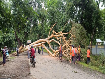 မကွေးတိုင်းဒေသကြီး၊ မင်းဘူးခရိုင်၊ မင်းဘူးမြို့နယ်၊ မင်းဘူး-စကုကားလမ်းတွင် သစ်ပင်လဲကျမှု ဖြစ်ပွားသဖြင့် ရှင်းလင်းရေးလုပ်ငန်းများ ဆောင်ရွက်မှု