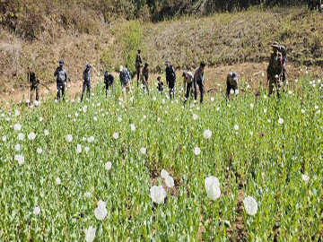 ရှမ်းပြည်နယ်၊ ကျိုင်းတုံမြို့နယ်၌ ဘိန်းခင်းများဖျက်ဆီး