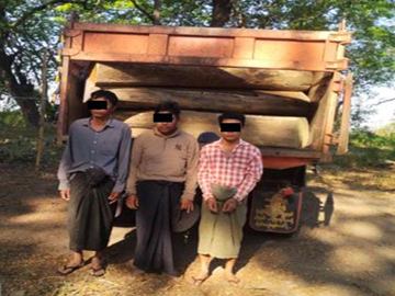 ပဲခူးတိုင်းဒေသကြီး မင်းလှမြို့နယ်၌ တရားမဝင်ကျွန်းသစ်များ ဖမ်းဆီးရမိ