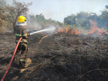 နေပြည်တော်ကောင်စီနယ်မြေ၊ ဒက္ခိဏသီရိမြို့နယ်နှင့် ရန်ကုန်-မန္တလေးအမြန်လမ်းမကြီး၊ မိုင်တိုင်အမှတ် (၆၉/၀)နှင့် (၆၉/၁)ကြားတွင် တောမီးလောင်ကျွမ်းမှု 