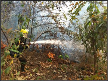 နေပြည်တော်ကောင်စီနယ်မြေ၊ ဇမ္ဗူသီရိမြို့နယ်၊ သုခသိဒ္ဓိရပ်ကွက်၊ ဉာဏအောင်မြေလမ်းတွင် တောမီးလောင်မှု 