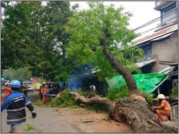 စစ်ကိုင်းတိုင်းဒေသကြီး၊ မုံရွာမြို့၊ ရတနာပုံရပ်ကွက်၊ သာစည်လမ်း၊ သာစည်ဈေးရှေ့၌ သစ်ပင်လဲကျသဖြင့် ရှင်းလင်းရေးလုပ်ငန်းများ ဆောင်ရွက်မှု