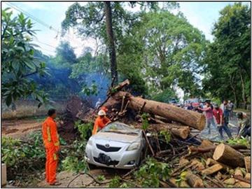 မန္တလေးတိုင်းဒေသကြီး၊ ပြင်ဦးလွင်မြို့၊ ရပ်ကွက်ကြီး(၁၂)၊ မန္တလေး-လားရှိုးလမ်းပေါ်၌ သစ်ပင်လဲကျသဖြင့် ရှင်းလင်းရေးလုပ်ငန်းများ ဆောင်ရွက်မှု