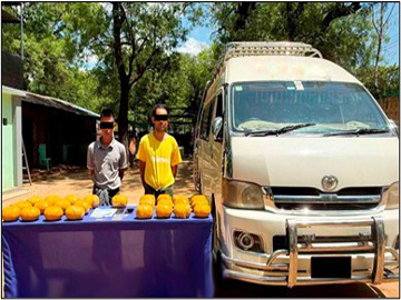 စစ်ကိုင်းတိုင်းဒေသကြီး၊ စစ်ကိုင်းမြို့၌ ငွေကျပ် ၅၂၅ သိန်း တန်ဖိုးရှိ ဘိန်းစိမ်းများ ဖမ်းဆီးရမိ