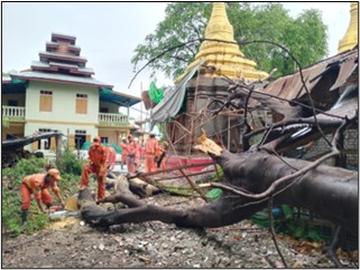 မကွေးတိုင်းဒေသကြီး၊ ပွင့်ဖြူမြို့နယ်၊ သက်တော်ရှည်ရပ်ကွက်၊ သက်တော်ရှည်ဘုန်းကြီးကျောင်းဝင်း အတွင်း၌ သစ်ပင်လဲကျသဖြင့် ရှင်းလင်းရေးလုပ်ငန်းများ ဆောင်ရွက်မှု 