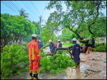 မကွေးတိုင်းဒေသကြီး၊ ပခုက္ကူမြို့၊ အမှတ်(၁၀)ရပ်ကွက်၊ ရန်အောင်မြင်လမ်း၌ သစ်ပင်လဲကျသဖြင့် ရှင်းလင်းရေးလုပ်ငန်းများ ဆောင်ရွက်မှု 