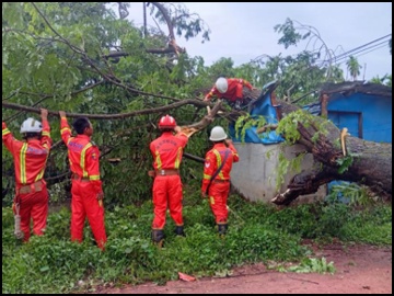 ဧရာဝတီတိုင်းဒေသကြီး၊ မြောင်းမြမြို့နယ်၊ မြစန္ဒာရပ်ကွက်အဝင်လမ်း၌ သစ်ပင်လဲကျသဖြင့် ရှင်းလင်းရေးလုပ်ငန်းများ ဆောင်ရွက်မှုမှတ်တမ်း