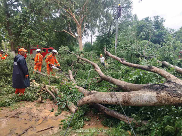 မကွေးတိုင်းဒေသကြီး၊ မင်းဘူးမြို့နယ်၊ အမှတ်(၄)ရပ်ကွက်၊ ရွှေမင်္ဂလာရပ်၊ မင်းဘူး-ဆင်ခေါင်း လမ်းဘေး၌ သစ်ကိုင်းပဲ့ကျမှုဖြစ်ပွားရာတွင် ရှင်းလင်းရေးလုပ်ငန်းများ ဆောင်ရွက်မှု