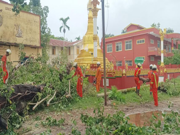 ဧရာဝတီတိုင်းဒေသကြီး၊ ပုသိမ်မြို့နယ်၊ အမှတ်(၆)ရပ်ကွက်၊ ကုသိနာရုံဘုန်းတော်ကြီးကျောင်းဝင်းရှိ သစ်ပင်လဲကျမှုဖြစ်ပွားရာတွင် ရှင်းလင်းရေးလုပ်ငန်းများ ဆောင်ရွက်မှု