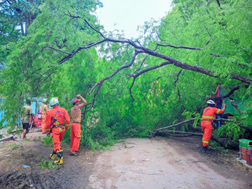 မကွေးတိုင်းဒေသကြီး၊ ပခုက္ကူမြို့၊ အမှတ်(၁)ရပ်ကွက်၊ သံဖြူတန်းလမ်းရှိ သစ်ကိုင်းပဲ့ကျမှုဖြစ်ပွားရာတွင် ရှင်းလင်းရေးလုပ်ငန်းများ ဆောင်ရွက်မှု