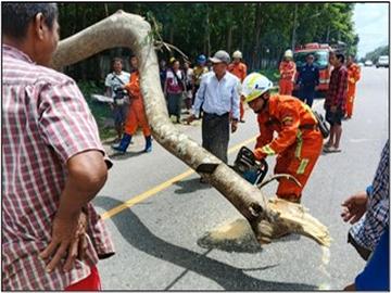 ရန်ကုန်တိုင်းဒေသကြီး၊ မင်္ဂလာဒုံမြို့နယ်၊ ပျဉ်းမပင်ကျေးရွာ၊ “EOY” အထည်ချုပ်စက်ရုံအနီး၌ သစ်ပင်လဲကျသဖြင့် ရှင်းလင်းရေးလုပ်ငန်းများ ဆောင်ရွက်မှု