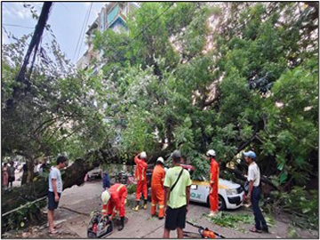 ရန်ကုန်တိုင်းဒေသကြီး၊ ကြည့်မြင်တိုင်မြို့နယ်၊ သာဓုအနောက်ရပ်ကွက်၊ ဦးဖိုးထူးလမ်းပေါ်၌ သစ်ပင်လဲကျသဖြင့် ရှင်းလင်းရေးလုပ်ငန်းများ ဆောင်ရွက်မှု