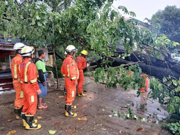 ရန်ကုန်တိုင်းဒေသကြီး၊ ဒဂုံမြို့သစ်(မြောက်ပိုင်း)မြို့နယ်၊ (၃၇)ရပ်ကွက်၊ အဓိပတိလမ်းမပေါ်၌ သစ်ပင် လဲကျသဖြင့် ရှင်းလင်းရေးလုပ်ငန်းများ ဆောင်ရွက်မှု