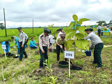 ရန်ကုန်တိုင်းဒေသကြီး၊ သန်လျင်ခရိုင်၊…
