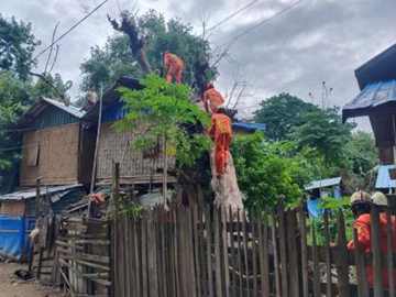 မကွေးတိုင်းဒေသကြီး၊ ပွင့်ဖြူမြို့၊ သက်တော်ရှည်ရပ်ကွက်၌ သစ်ပင်လဲကျသဖြင့် ရှင်းလင်းရေးလုပ်ငန်းများ ဆောင်ရွက်မှု